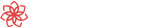 casinochan 6